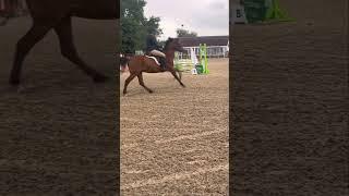 Literally flying  #horsey #equestrian #ponypower #pony #ponylover #horseriding #horsegirl