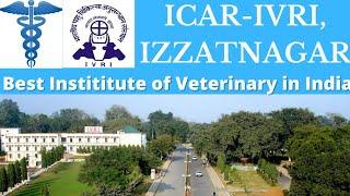 ICAR-Indian Veterinary Research Institute Izzatnagar  IVRI Izzatnagar Campus