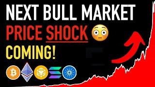 Next Crypto Bull Market - PRICE SHOCK Coming 