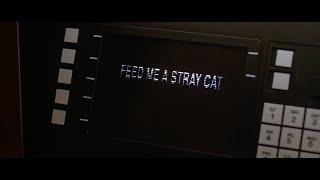 American Psycho - Feed Me a Stray Cat