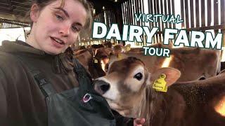 A Virtual Tour Of A Dairy Farm In Biggar Scotland Part 1