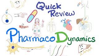 Pharmacodynamics - What the med does to your body - Quick Review - Pharmacology Lectures
