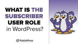 What is the Subscriber User Role in WordPress?