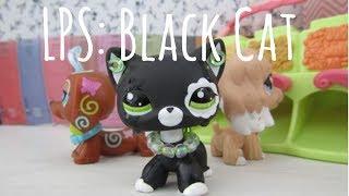 LPS Black Cat  Short Film