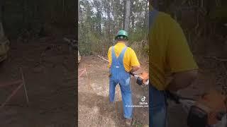 How to sharpen your saw quickly #kelly #cuttingedgelogging #bluecollar #chainsawman #chainsaw