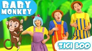 Monkey Banana-Baby Monkey  Baby Shark Songs  Tigi Boo Kids Songs