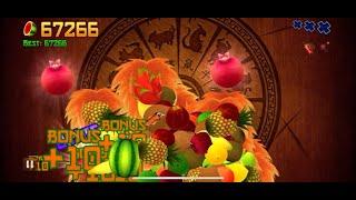 Fruit Ninja Classic Mode World Record 67266 Score Game Crashed at the End