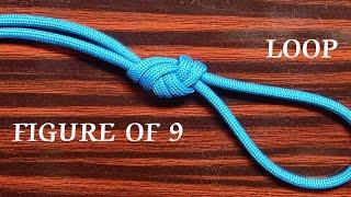 HOW TO TIE A KNOT  FIGURE OF 9 LOOP