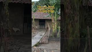 Rumah Jawa kuno asri alami#shorts