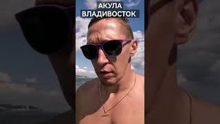 Про акулу во Владивостоке