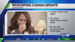 After week without new cases Lexington sees more whooping cough