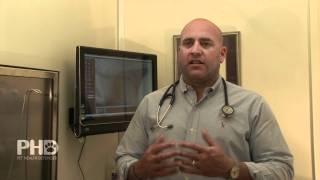 Dr. Gershon Alaluf DVM on PHD