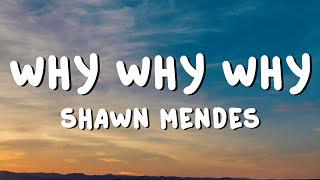 Shawn Mendes - Why Why Why Lyrics