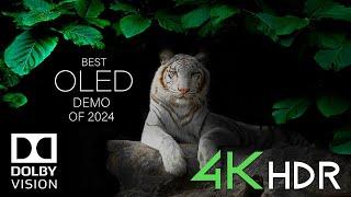 4K OLED TV TEST 2024  Dolby Vision  60FPS HDR Demo