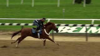 BC Sprint contender Mind Your Biscuits Works for trainer Chad Summers
