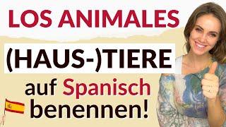 Spanische Tierbezeichnungen - Wörter lernen