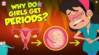 Why Do Girls Get Periods?  Menstruation  The Dr Binocs Show  Peekaboo Kidz