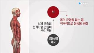 운동신경 좋은 사람 과학적 근거 있다  YTN 사이언스