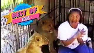 Best of AFV  Part 59  AFV Classics