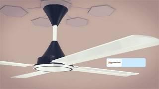 Conion 4-Blade Ceiling Fan Signature at Best Electronics