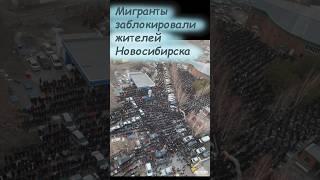 В Новосибирске жителей заблокировали мигранты  ALFAVIT