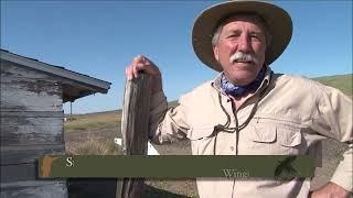 Sunflower state mixed bag.