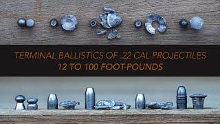 How .22 cal Airgun slugspellets expand 12 to 100 foot pounds  Clay Ballistics Revisited