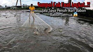 NGAK NYANGKA JALA IKAN CUMA DI PINGGIRAN SUNGAI PANEN IKAN NILA BABON BABON