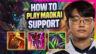 LEARN HOW TO PLAY MAOKAI SUPPORT LIKE A PRO - TL Corejj Plays Maokai Support vs Elise 