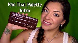 Pan That Palette Intro 2017  Too Faced Chocolate Bar