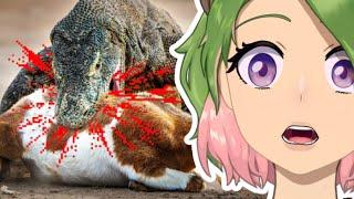 Lizard have Venom?  The Lizard Tier List  TierZoo react