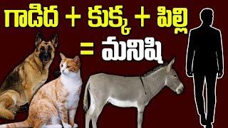 గాడిద + కుక్క + కోతి = మనిషి కథ  Bamma Kathalu  SumanTV