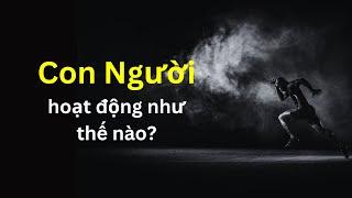 Con Người hoạt động như thế nào?  Tri Thức Nhân Loại