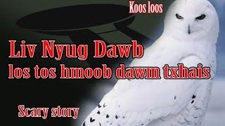 Liv nyug dawb tos hmoob Dawm Txhais 432023