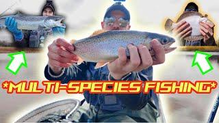 MULTI-SPECIES Fishing in PEI Canada #kayakfishing #troutfishing