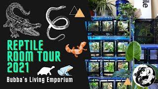 Reptile Room Tour July 2021- Bubba’s Geckos unboxing + brief tour around the Emporium