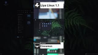 Liya Linux 1.1 Quick Overview #shorts