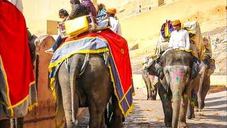 Rajasthan the Land of the Kings  Full Documentary