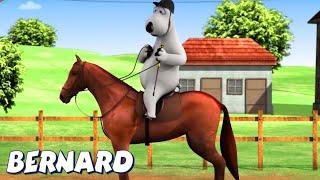 Bernard Bear  Horse Racing AND MORE  Cartoons for Children  Full Episodes