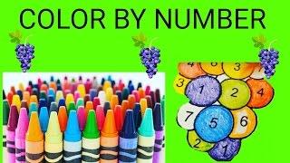 Color By Number - Rainbow Grapes