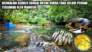 camping berburu ikan kehulu sungai hutan rimba yang belum terjamah manusiaeps 5