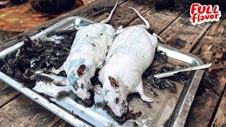 Amazing Giant RAT Farming & Cooking  THAI Food  หนูนาอบโอ่ง หลามหนูนา มีตังฟาร์ม โคราช