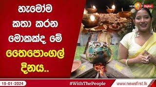 හැමෝම කතා කරන මොකක්ද මේ තෛපොංගල් දිනය..  Thai Pongal Festival