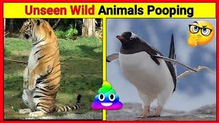 Wild Animals pooping compilation  Animals pooping #facts