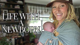 Day In The Life with a Newborn  VLOG