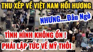 THÔI XONG VIỆT KIỀU HỒI HƯƠNG LÂM VÀO CẢNH NÀY PHẢI MUA VÉ BAY VỀ MỸ GẤP....