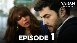 Yaban Çiçekleri  Episode 1 Subtitled in English @YabanCicekleriEnglish