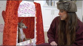 Dog Kissing Booth