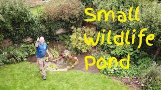 Building a Wildlife Pond Creating a Thriving Habitat in the UK