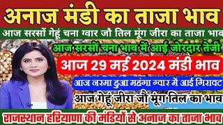 अनाज मंडी भाव 29 मई 2024 आज सरसों चना में जोरदार तेजी नरमा हुआ महंगा ग्वार में गिरावटMandi bhav